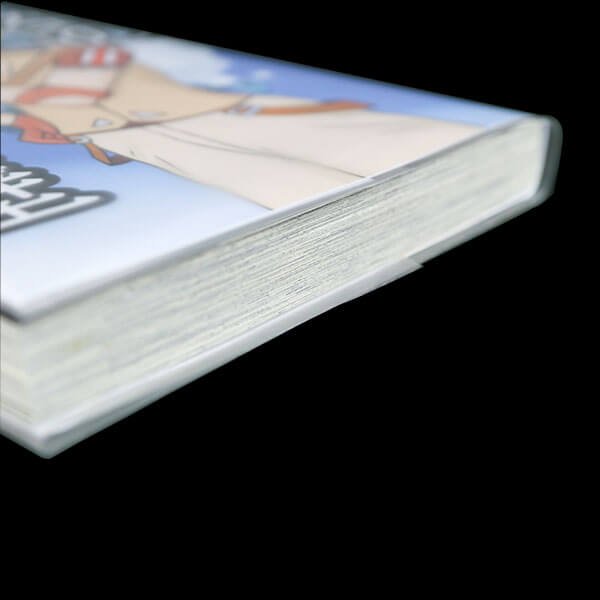 画像5: ブックカバー つや消しマット コミック侍 B6青年コミック用【50枚】 (5)