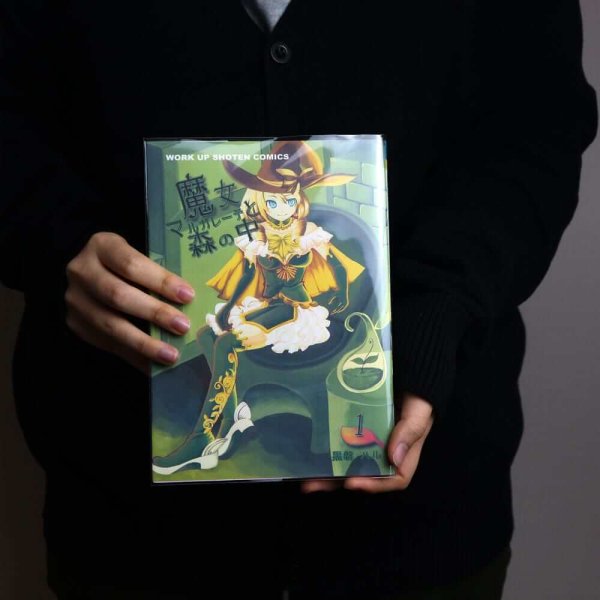 画像9: 透明ブックカバー コミック侍 A5判同人誌&青年コミック&実用書用【100枚】 (9)